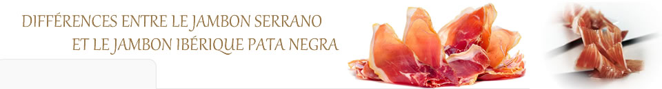 Les différences entre le Jambon Serrano et le Jambon Ibérique Pata Negra